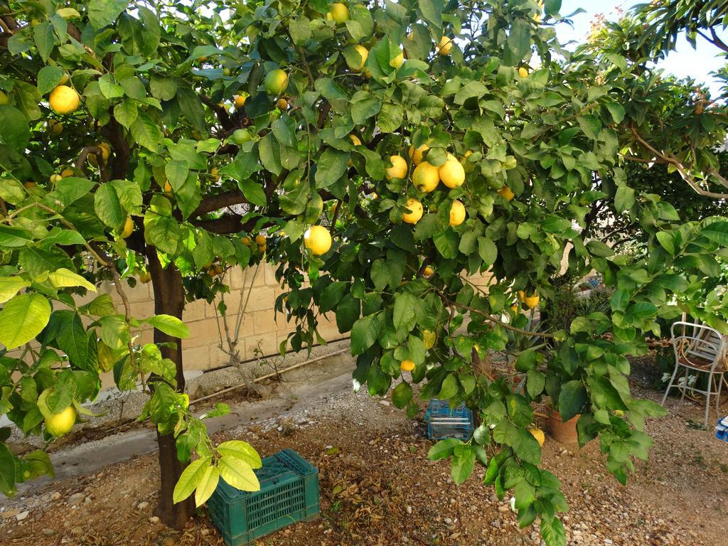 Il Giardino Del Corso Apartment Avola Bagian luar foto